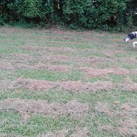 ミュミュール　パパが言ってたっ(*^^*)の画像