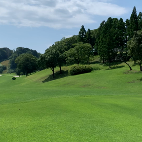 今日はゴルフの画像