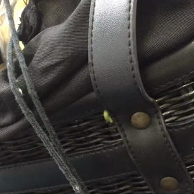 尺取り虫？の画像