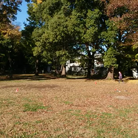 ジャベリック記録会⑭の画像