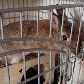 上からくるみ(๑°  °๑)の画像