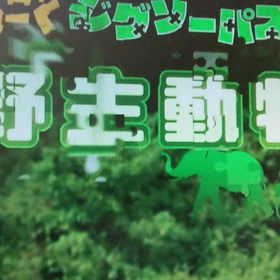 今日はタイヤの日の画像