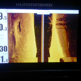 魚探デモの画像