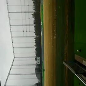 球が見えない(;￣ー￣Aの画像