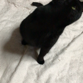 遊ぶ様子 ブルーベリーの画像