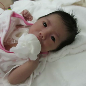 チューチューの画像