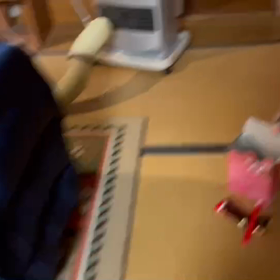 春が近づくタマの画像