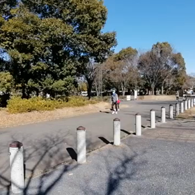 長距離記録会 Cグループ ゴールの画像