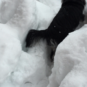 雪山断念。。の画像