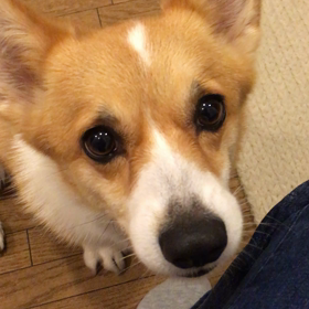 いーてぃんぐ！の画像