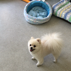 ♪プレイルーム動画♪②の画像