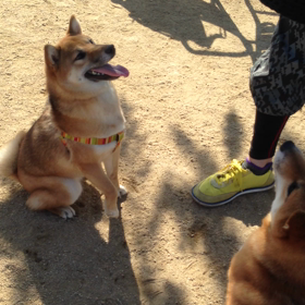 あんなちゃんの画像