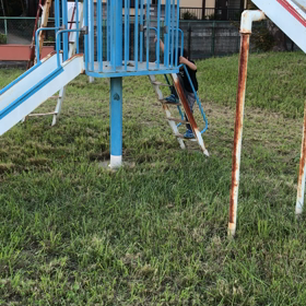 シーベルトの画像