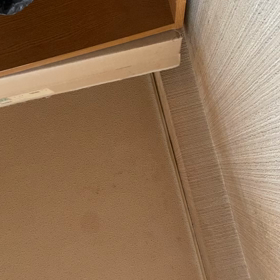 力、そっか？の画像