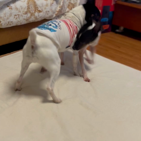 久しぶりの〇の画像