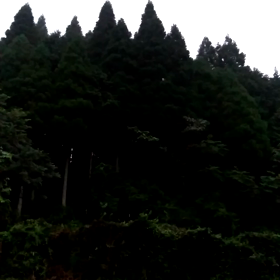 ひぐらし……の話し。の画像