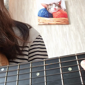 【弾き語り】白雪姫の画像