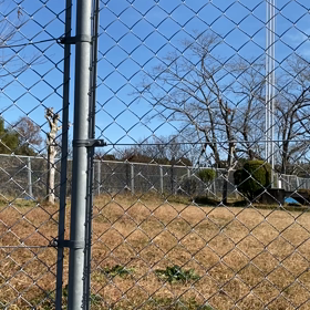 都於郡へ墓まいりの画像