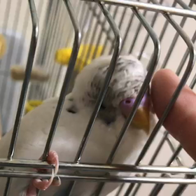 至福のかいかいタイム２の画像