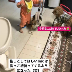 休養日。の画像