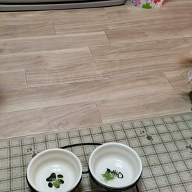 ”『わんこの青汁』”モニター「ちゃまちゃん＆じゅりちゃん」の画像