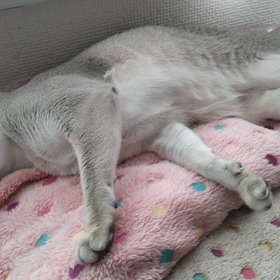 あちゅい。。♥の画像