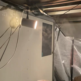 本日定休日ですがの画像