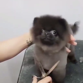 柔道整復師の卵時代〜国家試験〜の画像