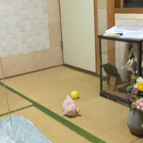 疲れたねの画像