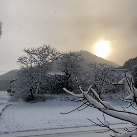 丹波篠山の画像