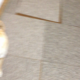 ゴロ〜ンの画像