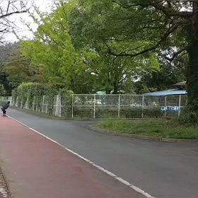 リレー選考会（ゴール付近）⑮の画像