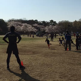 学年別インターバル(ゴール付近)⑩の画像