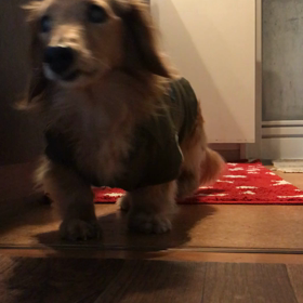 314 シルバーウィーク　スタート‼️の画像