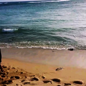 ハワイ動画♡お散歩シリーズ♪  の画像