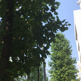 ほんの一瞬だけ ほんの一瞬の画像