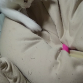 熊本地震の画像