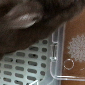 旅立ち....の画像