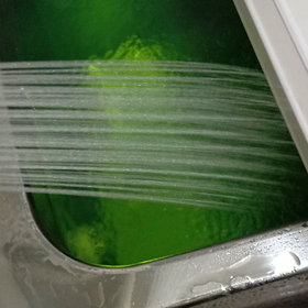 シャワーヘッド変えたの画像