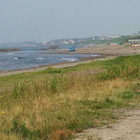 ただひたすら、、、の画像