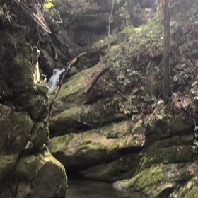 【大阪 犬鳴山 再び】の画像