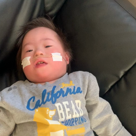 今日のつばちゃんの画像