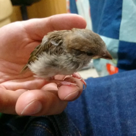 麦動画 保護12日目 part2の画像