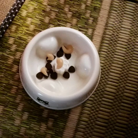 琥珀くんの早食い動画の画像