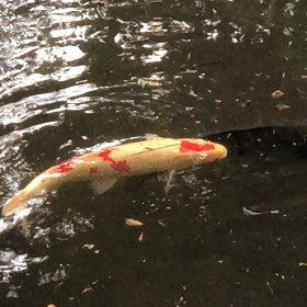息継ぎの画像