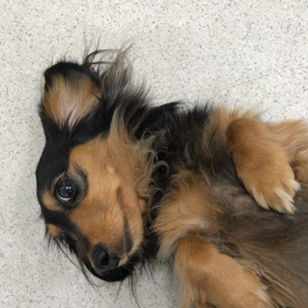 ♪プレイルーム動画♪②の画像