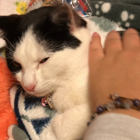 可愛い娘たちの画像