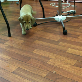 恵？の雨ですよ(^o^)の画像