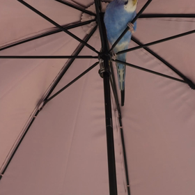 日傘にハマるの画像