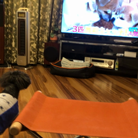 遊びたいの画像